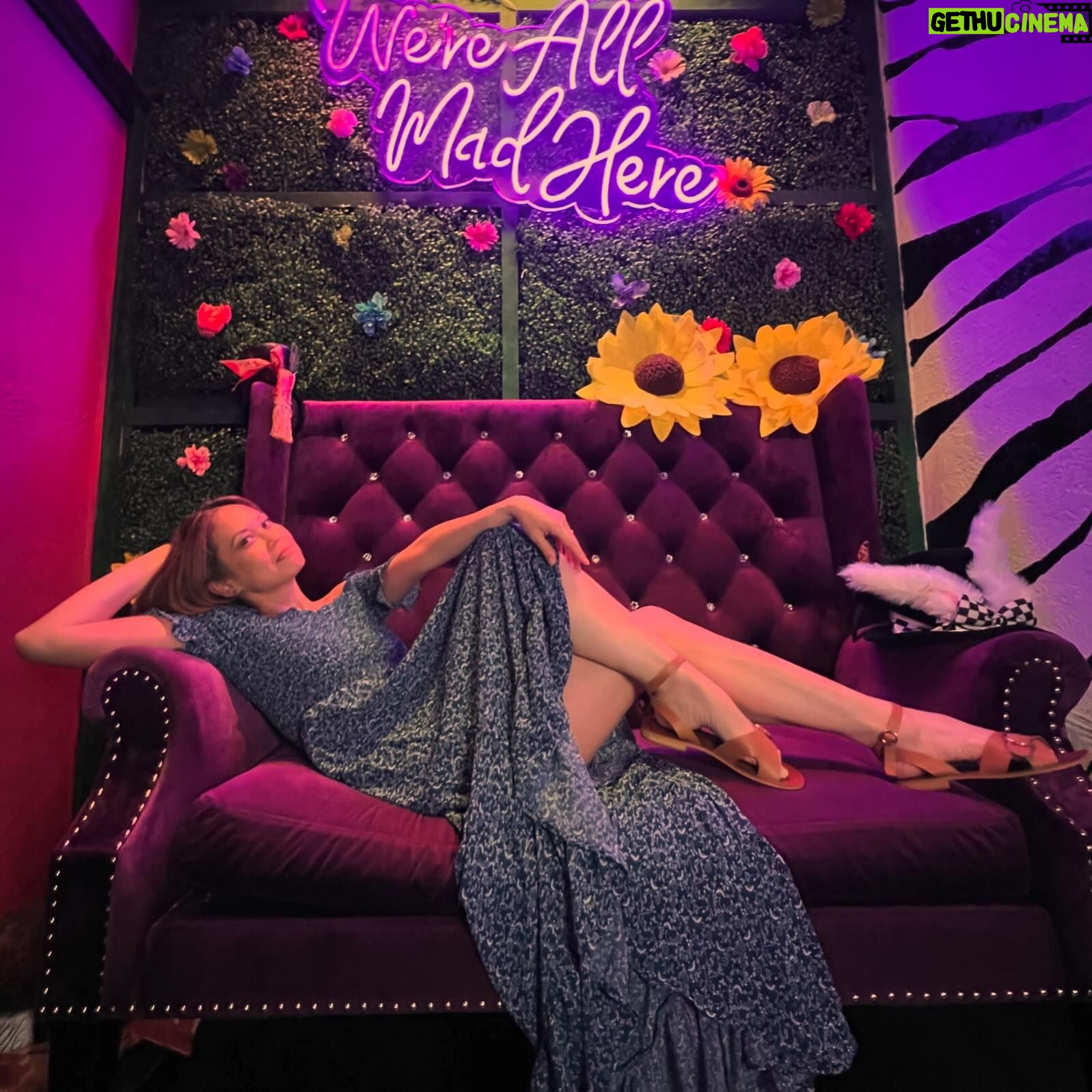 Jennie Kwan - 533 Likes - Sounds about right.🐰🎩🌹
.
.
.
📸 @intothelostwoods
#aliceinwonderland #knoxville #aliceinappalachia #wereallmadhere #summervibes