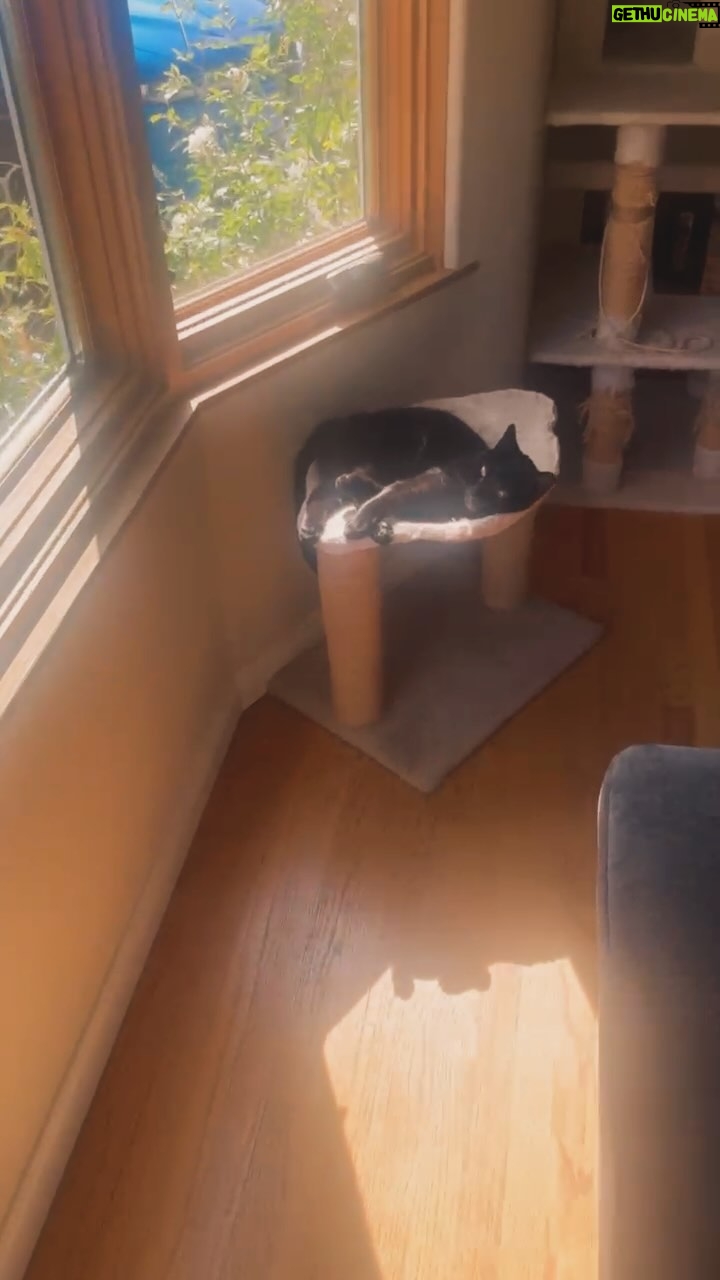 Jennie Kwan - 1.1K Likes - These moments😊💖🫶🏼
.
.
.
#moments #friendship #inbetweenmoments #restday #breathe #downtime #blackcatsofinstagram #fillyourcup #fillyoursoul