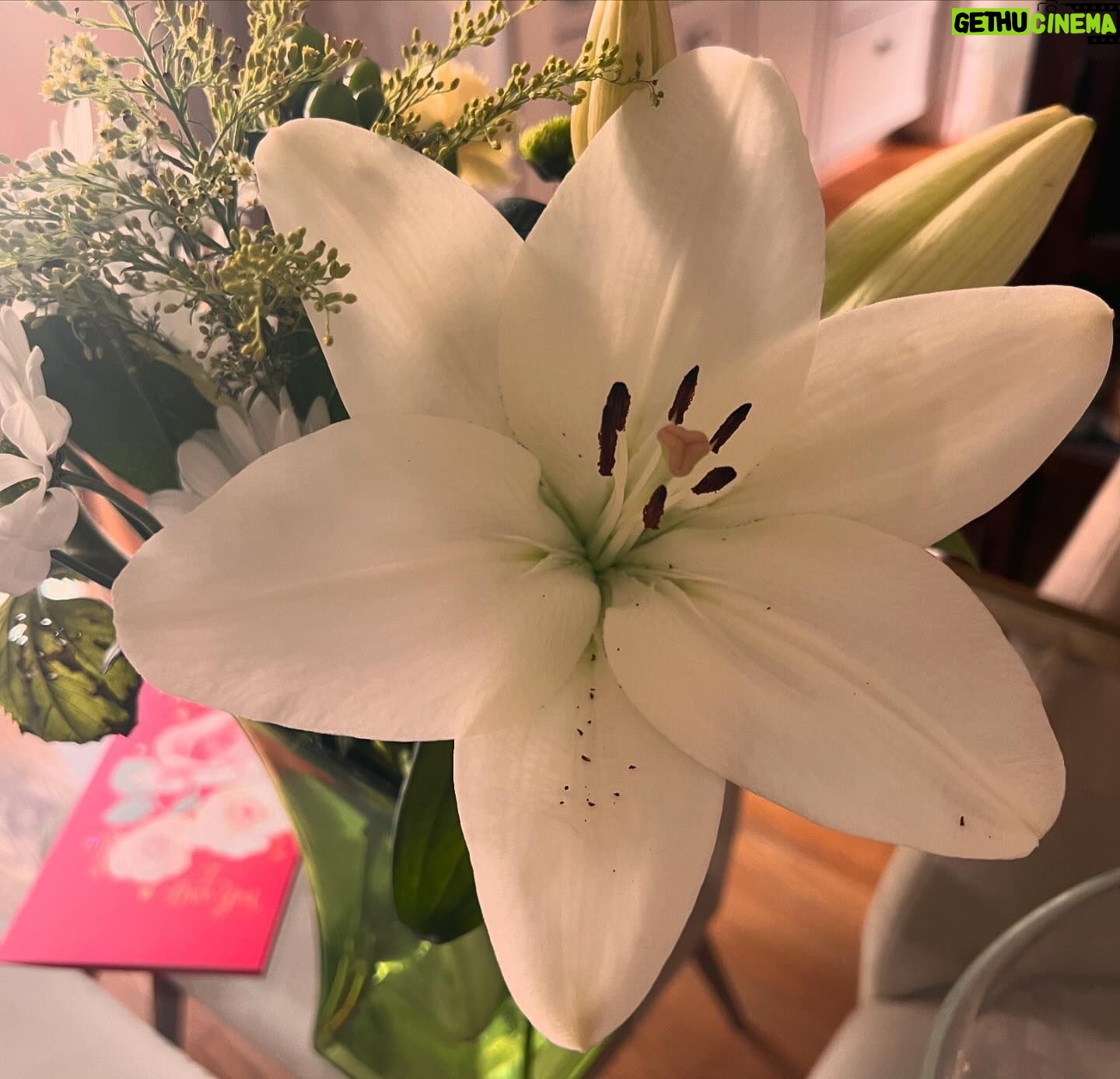 Jennie Kwan - 1.1K Likes - These moments😊💖🫶🏼
.
.
.
#moments #friendship #inbetweenmoments #restday #breathe #downtime #blackcatsofinstagram #fillyourcup #fillyoursoul