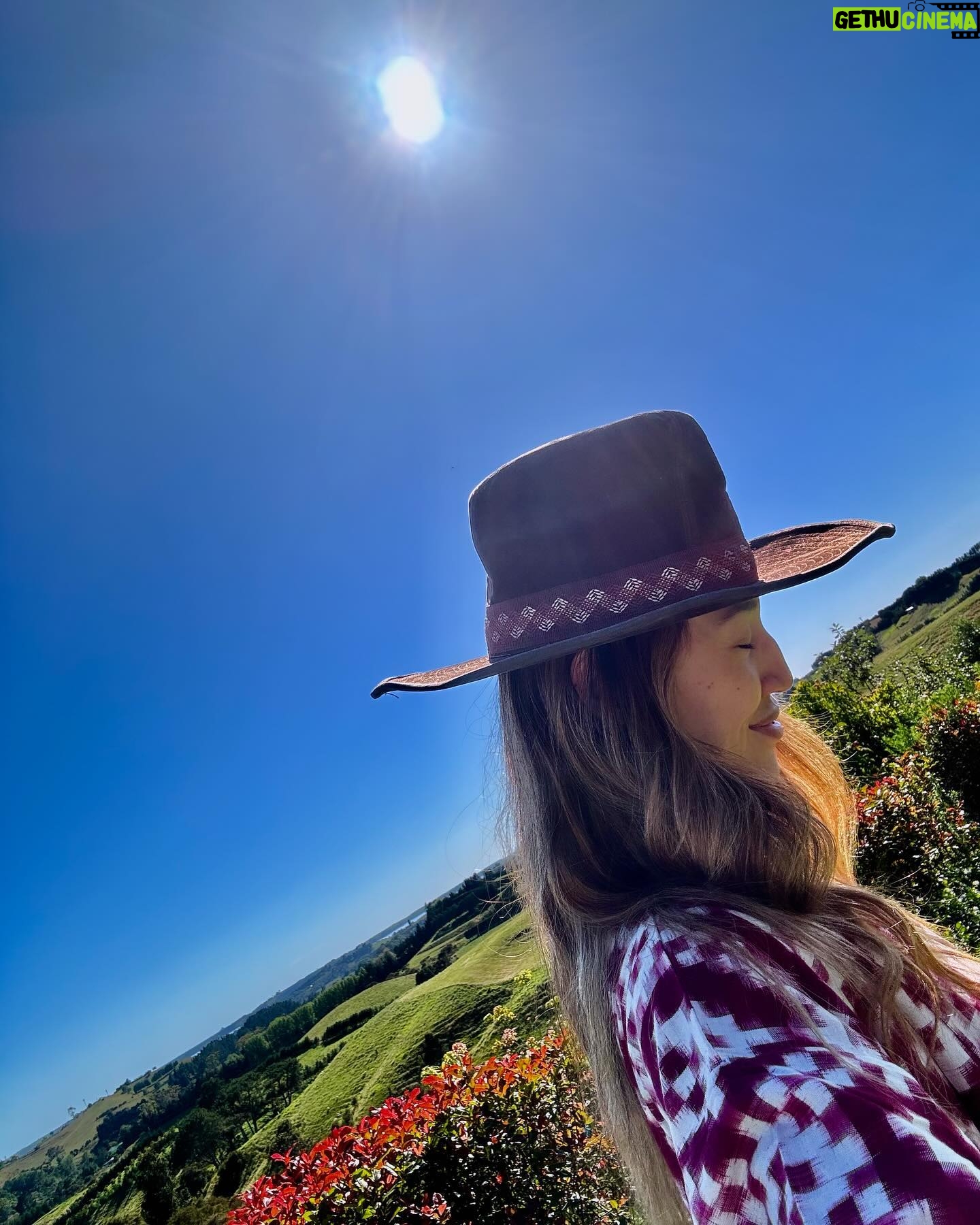 Jennifer Cheon - 646 Likes - 🧙🏽♀️ of a little orchard.
La luna nos dio la bienvenida a casa.
No filter. Just NZ x Siri, how do you make jam?