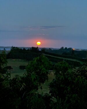 Jennifer Cheon Instagram - 🧙🏽‍♀️ of a little orchard.
La luna nos dio la bienvenida a casa.
No filter. Just NZ x Siri, how do you make jam?