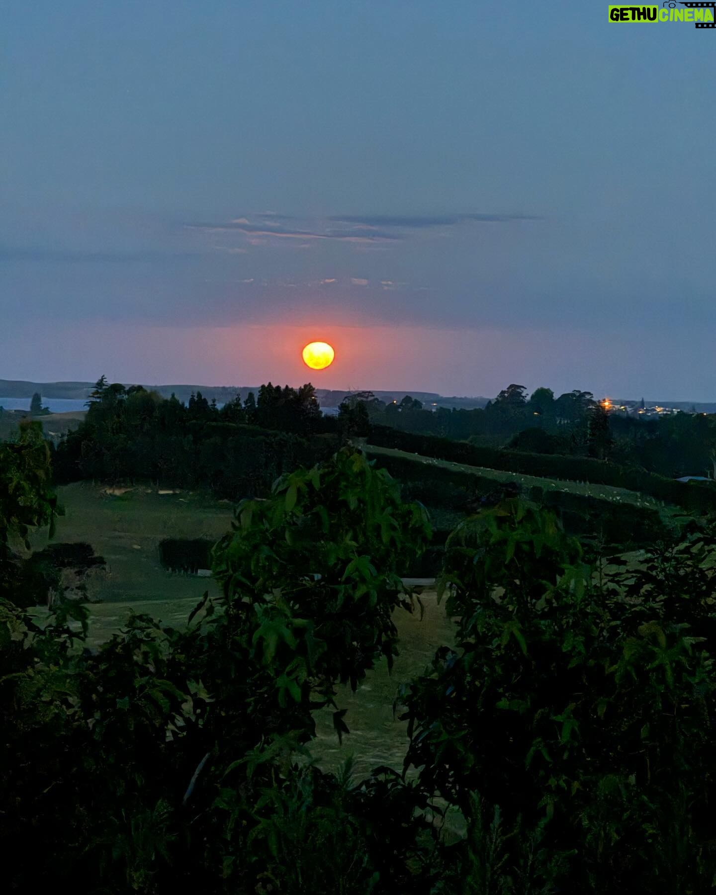 Jennifer Cheon - 646 Likes - 🧙🏽♀️ of a little orchard.
La luna nos dio la bienvenida a casa.
No filter. Just NZ x Siri, how do you make jam?