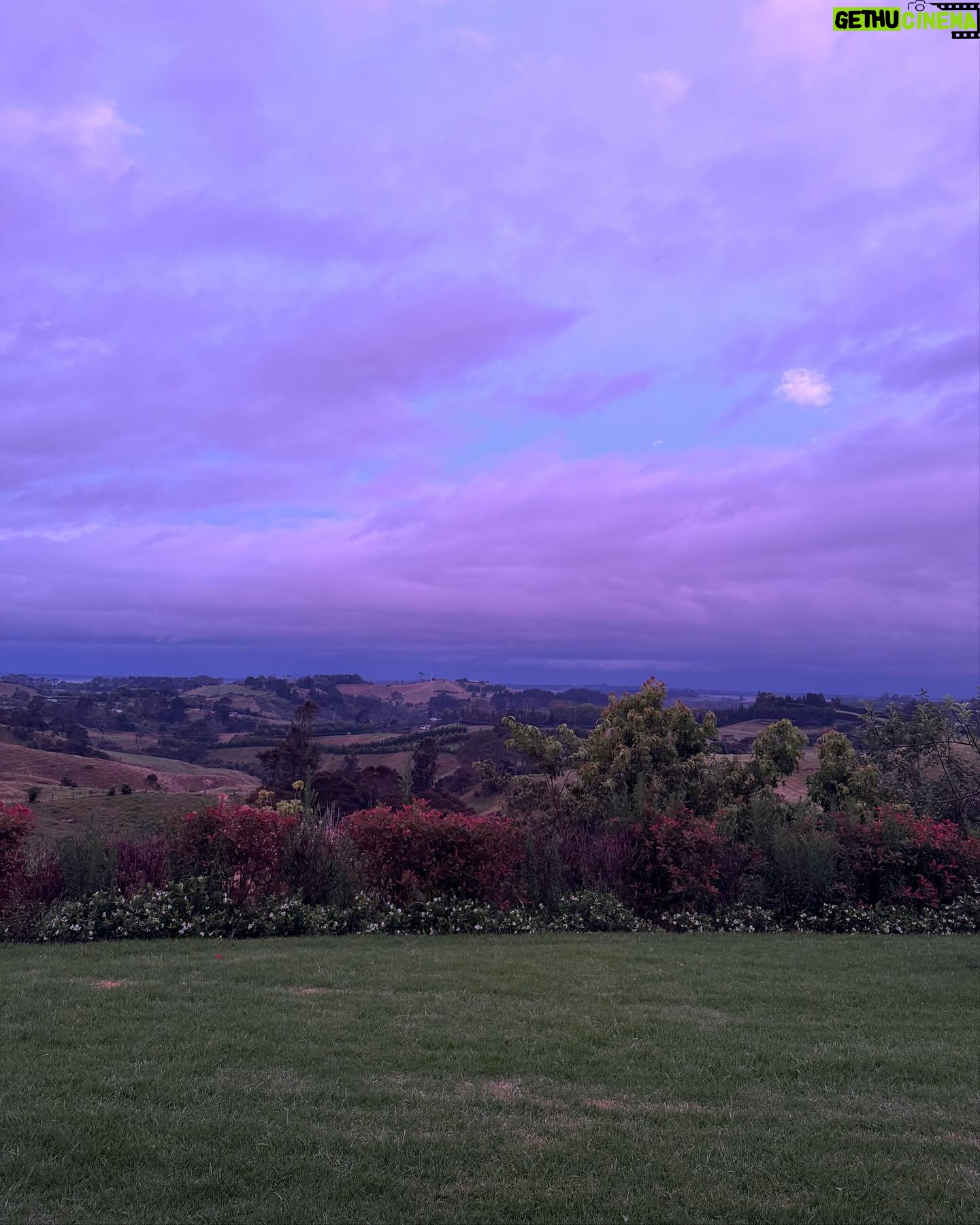 Jennifer Cheon - 646 Likes - 🧙🏽♀️ of a little orchard.
La luna nos dio la bienvenida a casa.
No filter. Just NZ x Siri, how do you make jam?