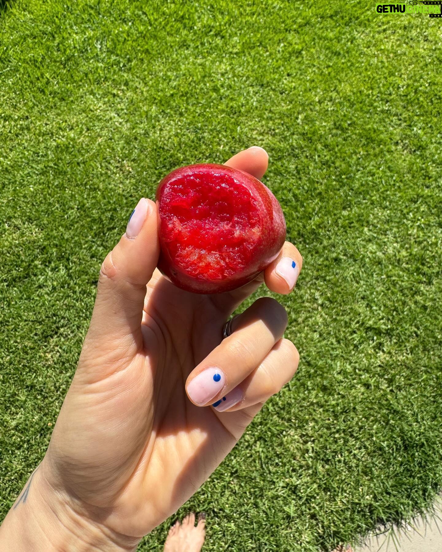 Jennifer Cheon - 646 Likes - 🧙🏽♀️ of a little orchard.
La luna nos dio la bienvenida a casa.
No filter. Just NZ x Siri, how do you make jam?