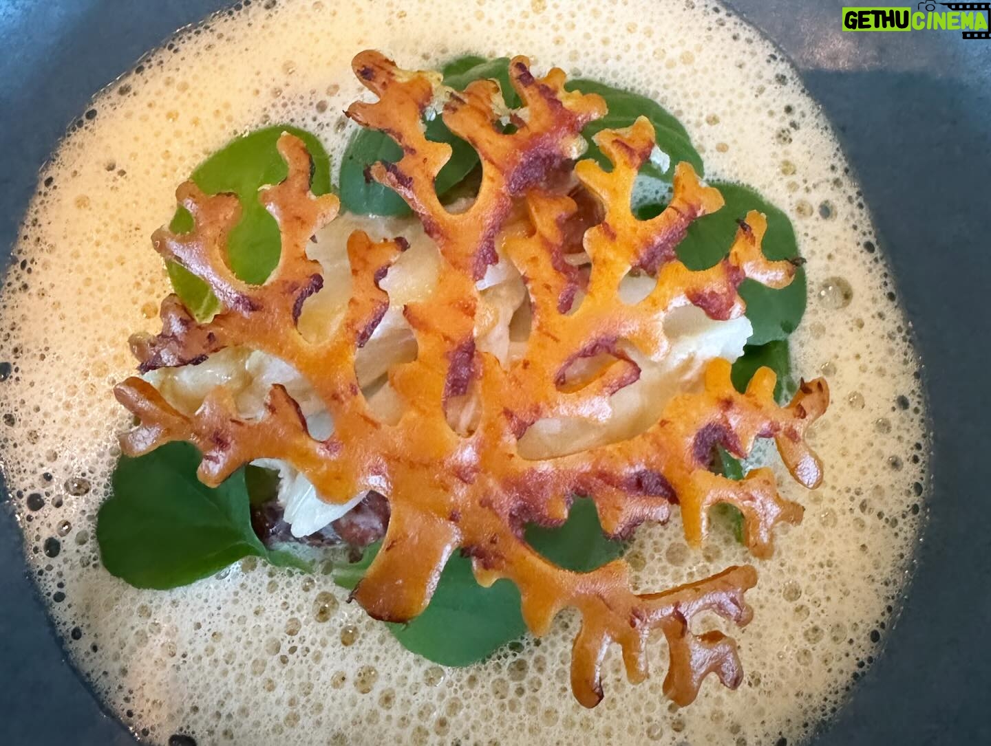 Jennifer Cheon - 629 Likes - everything w 🥓