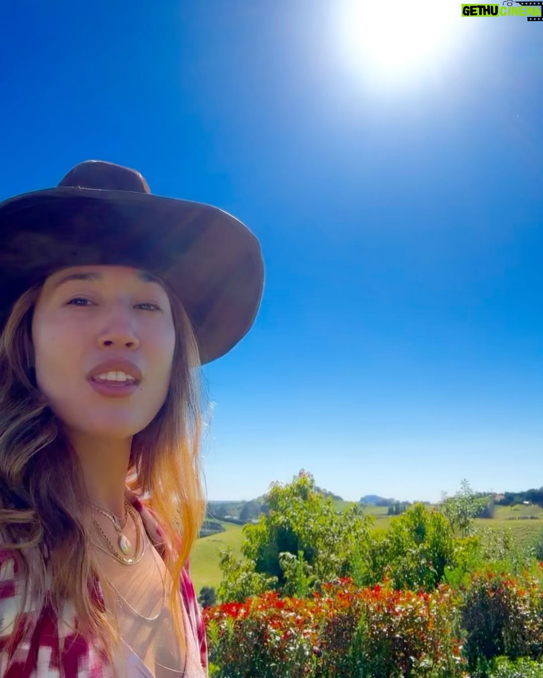 Jennifer Cheon - 646 Likes - 🧙🏽♀️ of a little orchard.
La luna nos dio la bienvenida a casa.
No filter. Just NZ x Siri, how do you make jam?