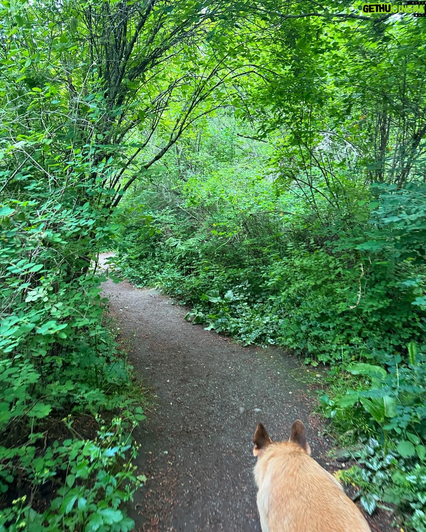 Jennifer Hale - 365 Likes - the road less and less and less traveled
to the top
#morning #outdoors #getoutside #dogsofinstagram