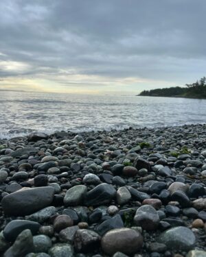 Jennifer Hale Instagram - morning 

#ocean #outdoors #dogsofinstagram