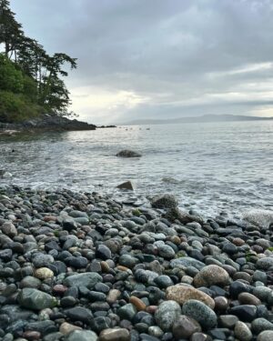 Jennifer Hale Instagram - morning 

#ocean #outdoors #dogsofinstagram