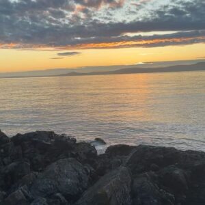 Jennifer Hale Instagram - morning
duck by the ocean
I’ve decided his name is Herman. 
#Lobita wants to be friends … or have him for breakfast 😳