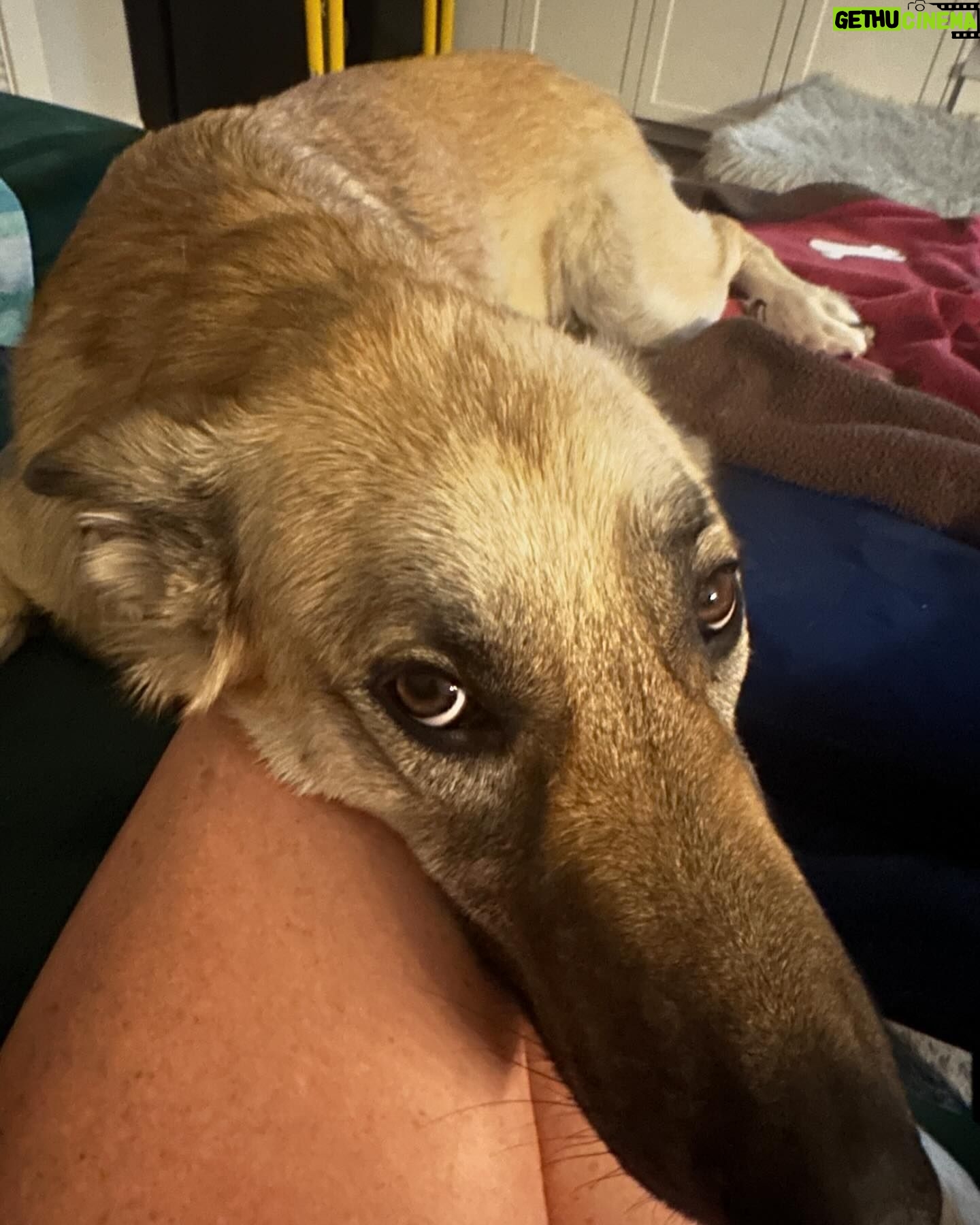 Jennifer Hale - 699 Likes - catching up
Lobita is annoyed w mama
Lobita still sleeps like a push-me-pull-you
power washing is very satisfying
happy place walk around