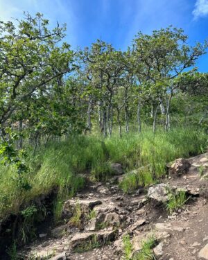 Jennifer Hale Instagram - sometimes you just need to bug out early and go clear your head.

#outdoors #happyplace #reset