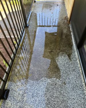 Jennifer Hale Instagram - catching up

Lobita is annoyed w mama
Lobita still sleeps like a push-me-pull-you 
power washing is very satisfying 
happy place walk around