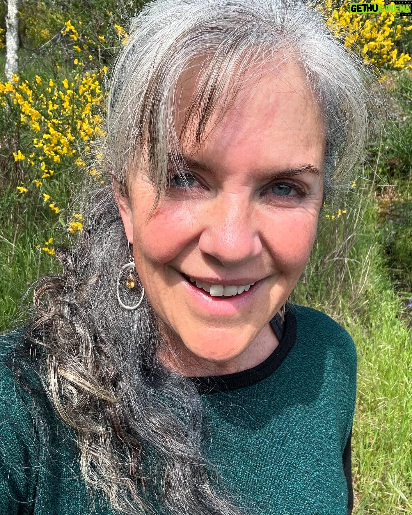 Jennifer Hale - 366 Likes - sometimes you just need to bug out early and go clear your head.
#outdoors #happyplace #reset