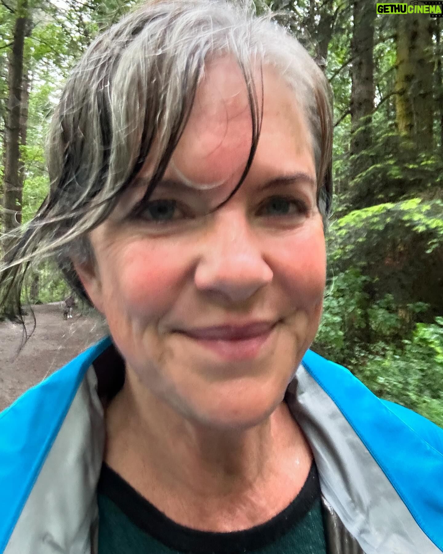 Jennifer Hale - 366 Likes - gorgeous wet morning
#rain #forest #dogsofinstagram