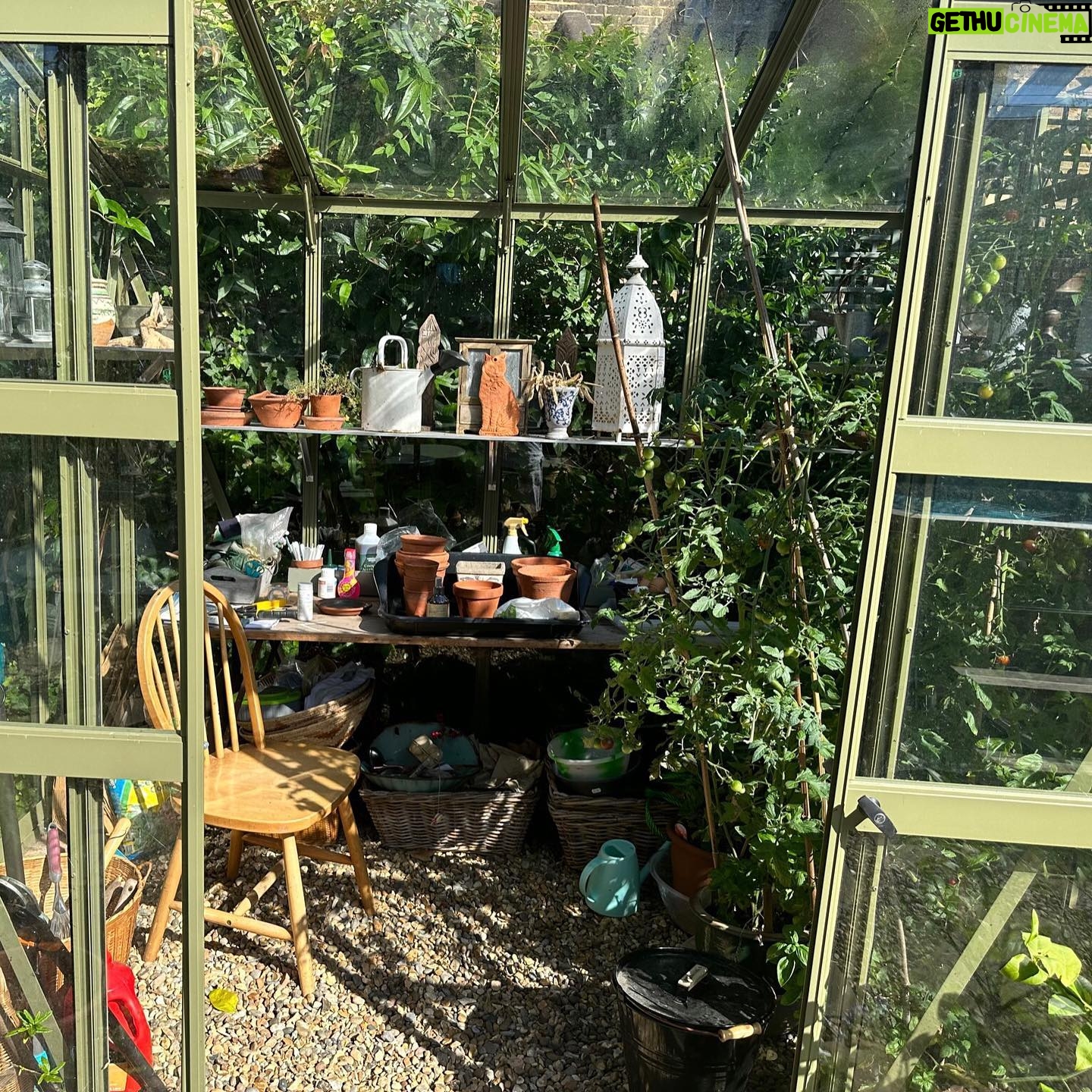 Jenny Beavan - 1.3K Likes - Who needs foreign holidays when they could be in Peckham! I know I am incredibly lucky to have a lovely garden and it has only taken me 30 years - and the amazing skills of @Gary.Baverstock - to understand it and make it what I wanted, a controlled wild garden! The orchard is excellent this year but it’s hard work keeping up with the fruit and I can’t bear waste … war baby mentality ...
So this is my joy when, and when I am not, working. Incredibly therapeutic when working. I get my best ideas when potting, weeding or chopping up apples! Note to all aspirant costume designers - if you feel stuck but have done good groundwork on a project it will be embedded in your mind so go out, have fun, do something different and the ideas will come!