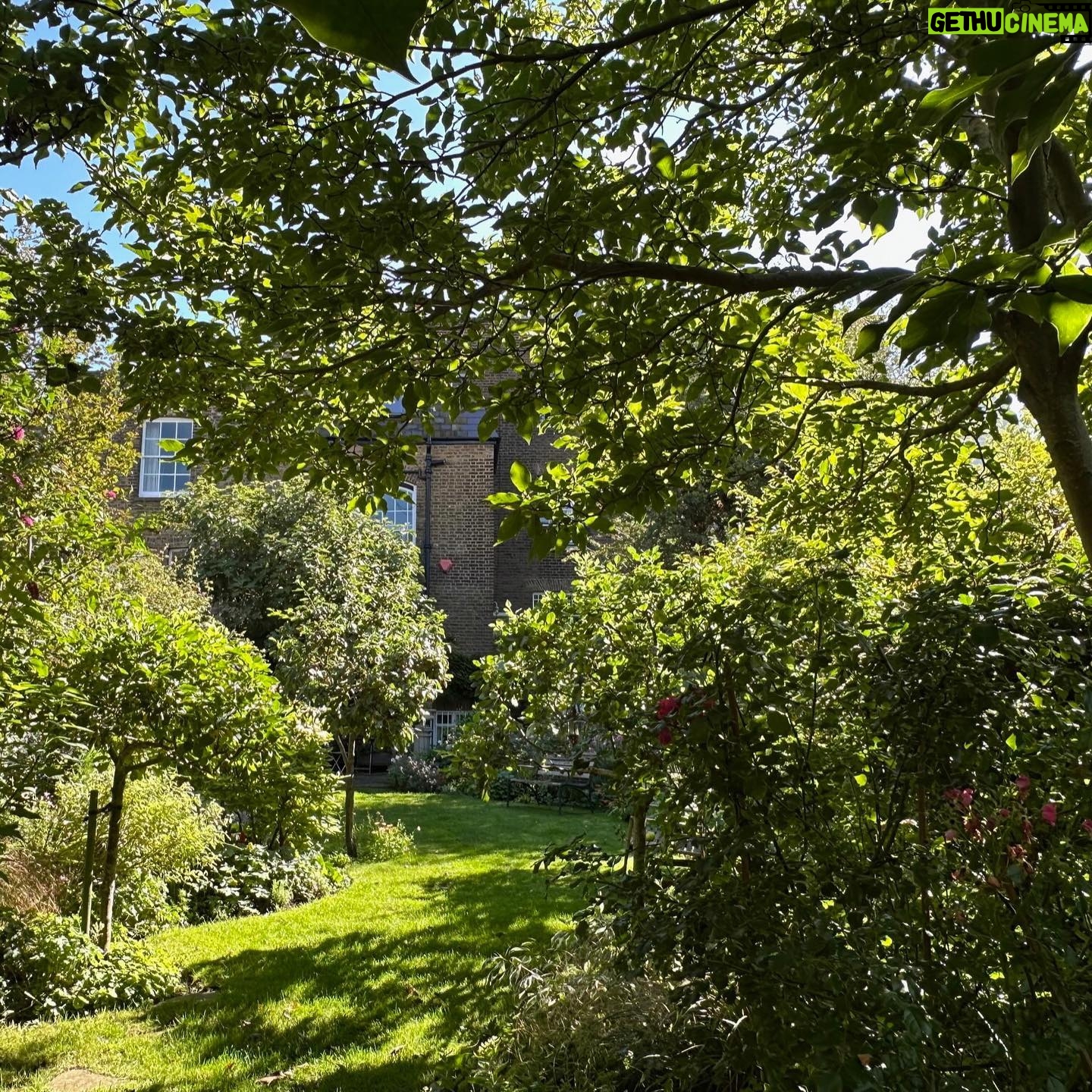 Jenny Beavan - 1.3K Likes - Who needs foreign holidays when they could be in Peckham! I know I am incredibly lucky to have a lovely garden and it has only taken me 30 years - and the amazing skills of @Gary.Baverstock - to understand it and make it what I wanted, a controlled wild garden! The orchard is excellent this year but it’s hard work keeping up with the fruit and I can’t bear waste … war baby mentality ...
So this is my joy when, and when I am not, working. Incredibly therapeutic when working. I get my best ideas when potting, weeding or chopping up apples! Note to all aspirant costume designers - if you feel stuck but have done good groundwork on a project it will be embedded in your mind so go out, have fun, do something different and the ideas will come!