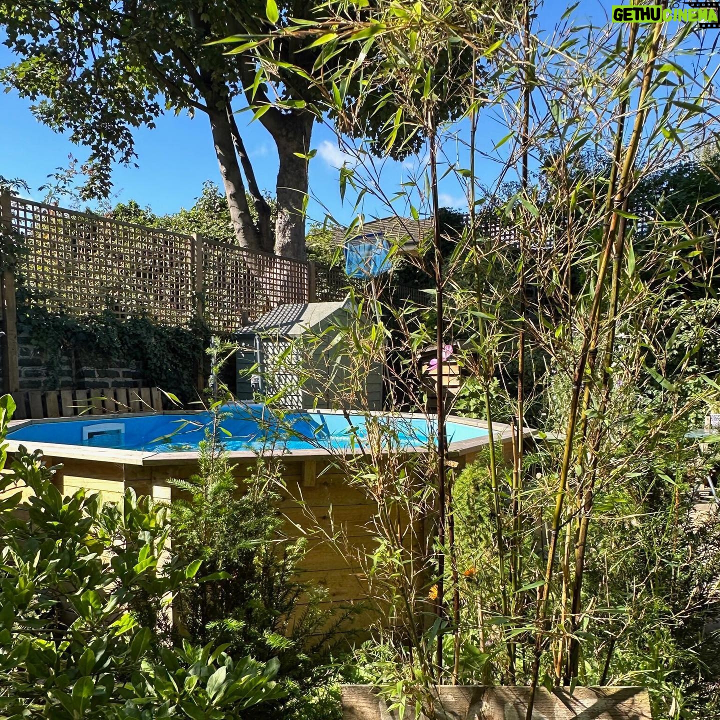Jenny Beavan - 1.3K Likes - Who needs foreign holidays when they could be in Peckham! I know I am incredibly lucky to have a lovely garden and it has only taken me 30 years - and the amazing skills of @Gary.Baverstock - to understand it and make it what I wanted, a controlled wild garden! The orchard is excellent this year but it’s hard work keeping up with the fruit and I can’t bear waste … war baby mentality ...
So this is my joy when, and when I am not, working. Incredibly therapeutic when working. I get my best ideas when potting, weeding or chopping up apples! Note to all aspirant costume designers - if you feel stuck but have done good groundwork on a project it will be embedded in your mind so go out, have fun, do something different and the ideas will come!