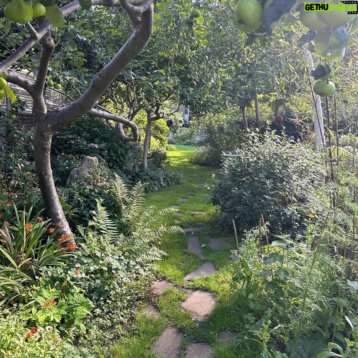 Jenny Beavan - 1.3K Likes - Who needs foreign holidays when they could be in Peckham! I know I am incredibly lucky to have a lovely garden and it has only taken me 30 years - and the amazing skills of @Gary.Baverstock - to understand it and make it what I wanted, a controlled wild garden! The orchard is excellent this year but it’s hard work keeping up with the fruit and I can’t bear waste … war baby mentality ...
So this is my joy when, and when I am not, working. Incredibly therapeutic when working. I get my best ideas when potting, weeding or chopping up apples! Note to all aspirant costume designers - if you feel stuck but have done good groundwork on a project it will be embedded in your mind so go out, have fun, do something different and the ideas will come!