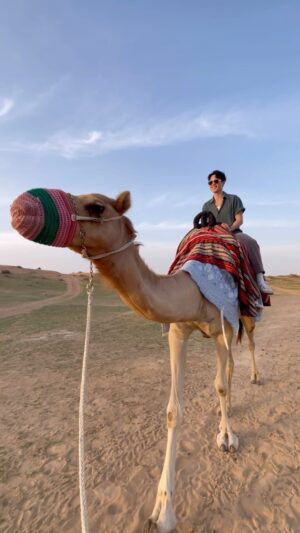 Jeon Tae-yang Instagram - First time riding a camel in the desert!! 🐪🏜️ 
📍Ras Al Khaimah 🇦🇪 The Ritz-Carlton Al Wadi Resort

#fyp#foryou#travel#explore#uae#rak#rasalkhaimah#desert#middleeast#arab#🇦🇪#두바이#아랍에미리트#두바이여행