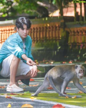 Jeong Dong-won Instagram - 지구탐구생활 6화 ❤️in 인도네시아
I LOVE YOU MONKEY
