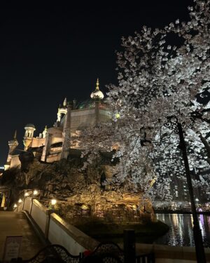 Jeong Seo-ha Instagram - #봄밤 
너무 아름다웠던 날들 🌸 

#cherryblossom 🤍