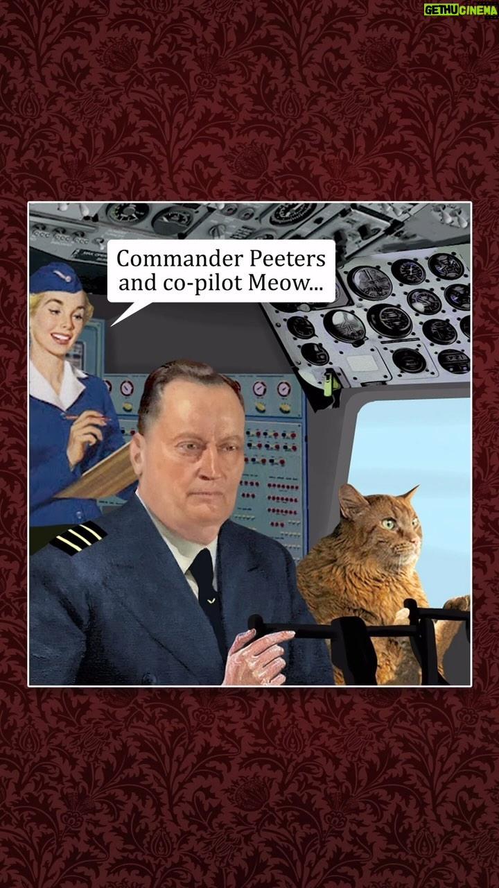 Jeroom Snelders - 14.5K Likes - #Jeroom.inc 🫳🏼 you