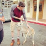 Jerry Trainor