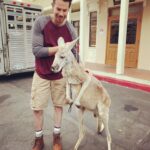 Jerry Trainor