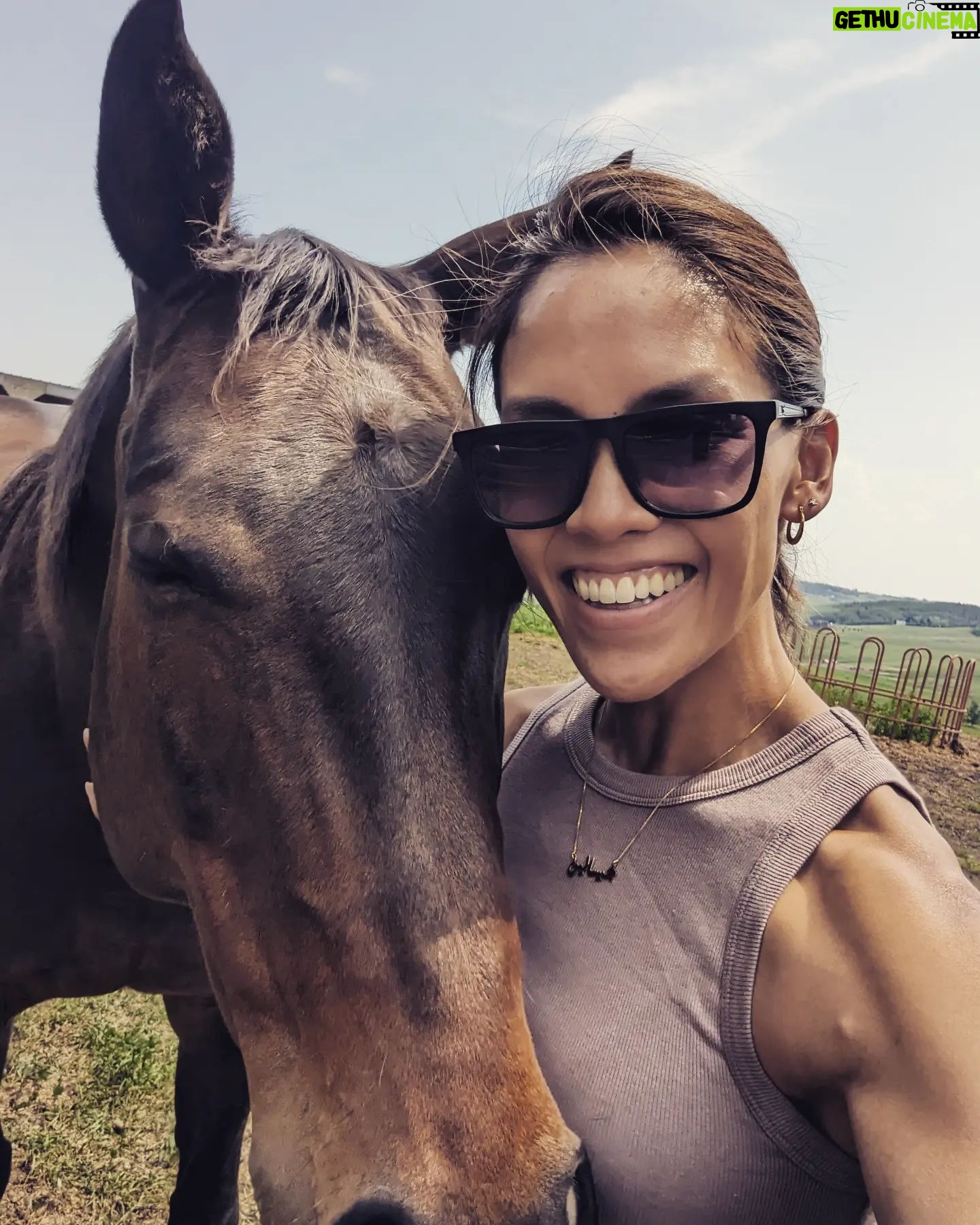Jessalyn Wanlim - 3 Likes - Fell in love with some beauties! Meet Harley, my new mare-friendā¤ļø