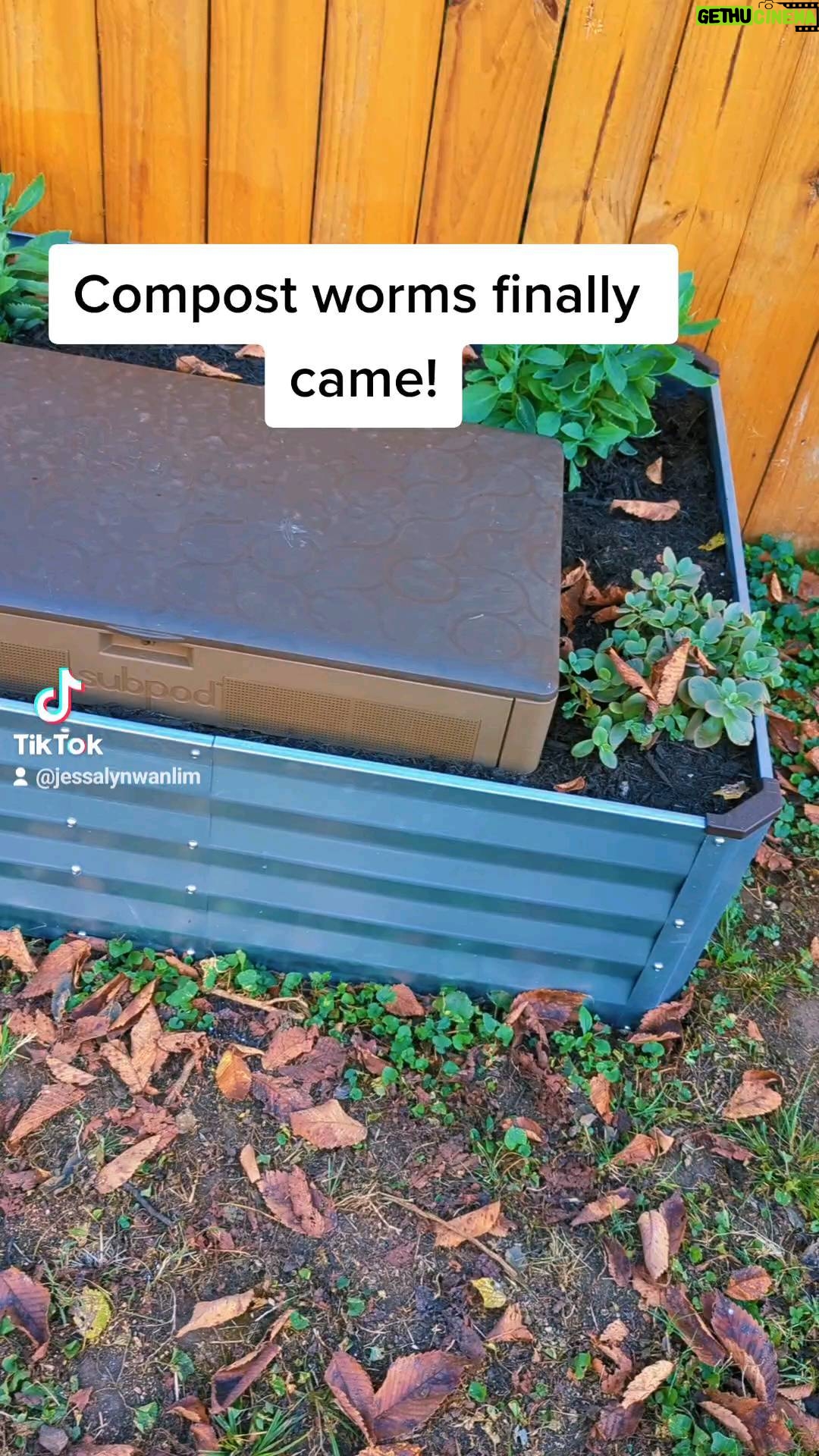 Jessalyn Wanlim - 114 Likes - Can't wait to start #composting ! Thank you @subpod for your help with the garden bed. I learned digging is not my strength 😜#vermicomposting #subpod #vermicompost