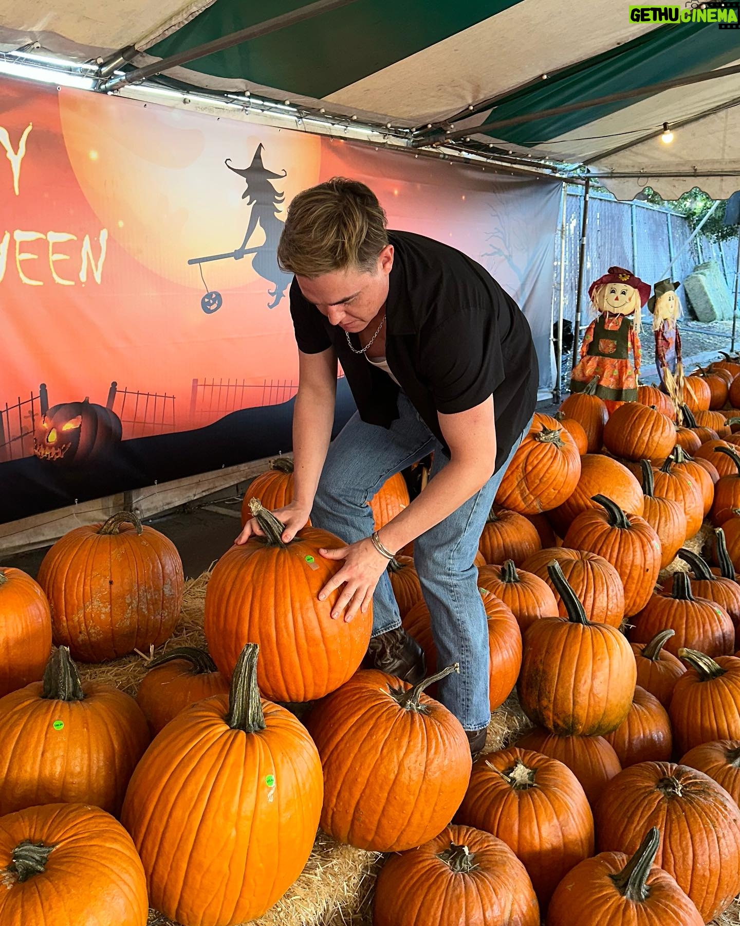 Jesse McCartney - 11.1K Likes - Never too old for a pumpkin patch šš š»