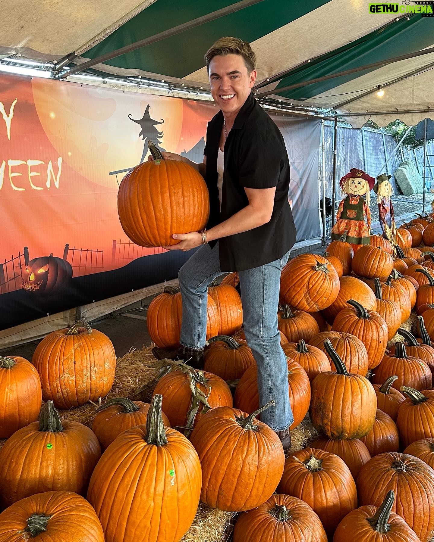 Jesse McCartney - 11.1K Likes - Never too old for a pumpkin patch šš š»