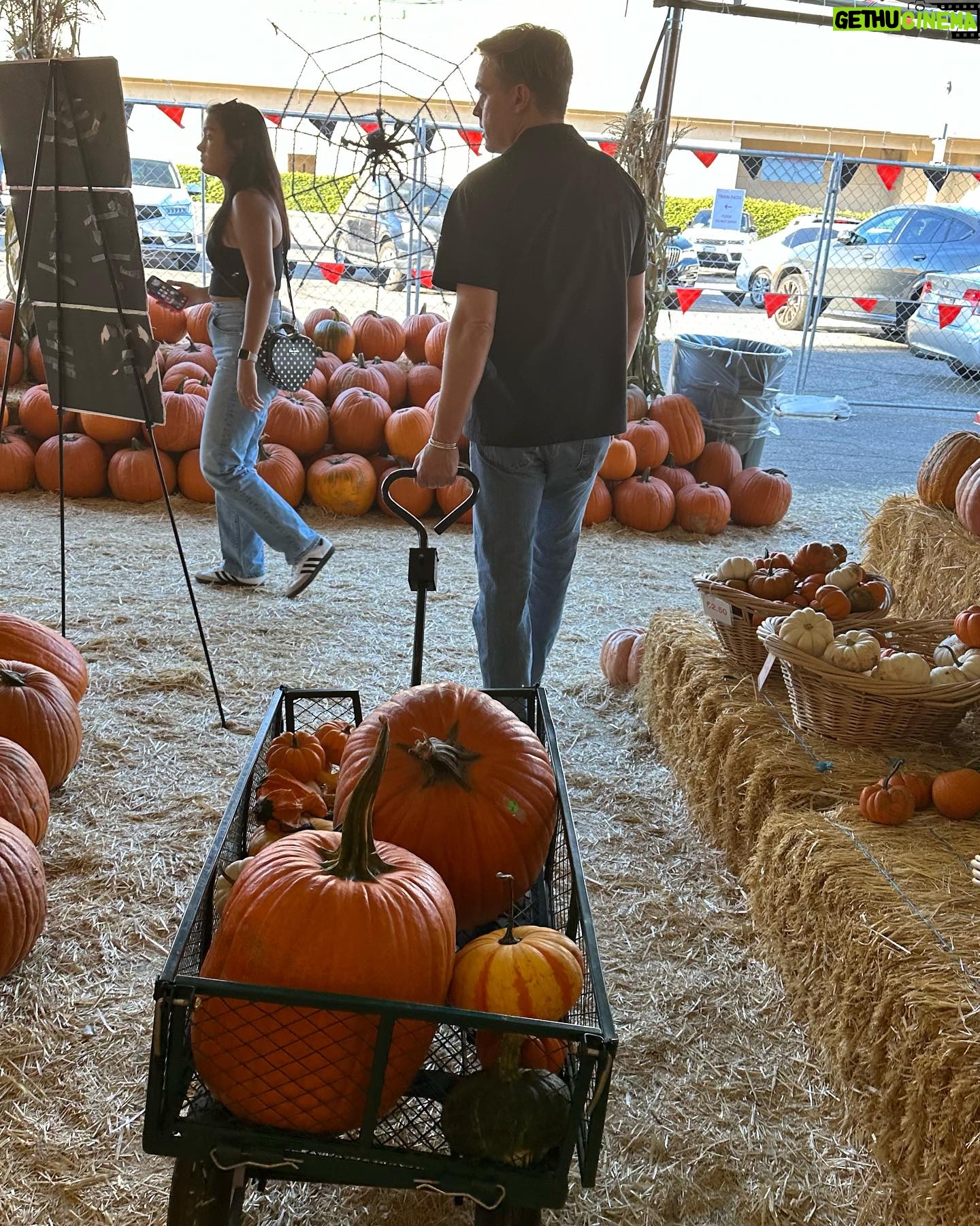 Jesse McCartney - 11.1K Likes - Never too old for a pumpkin patch šš š»