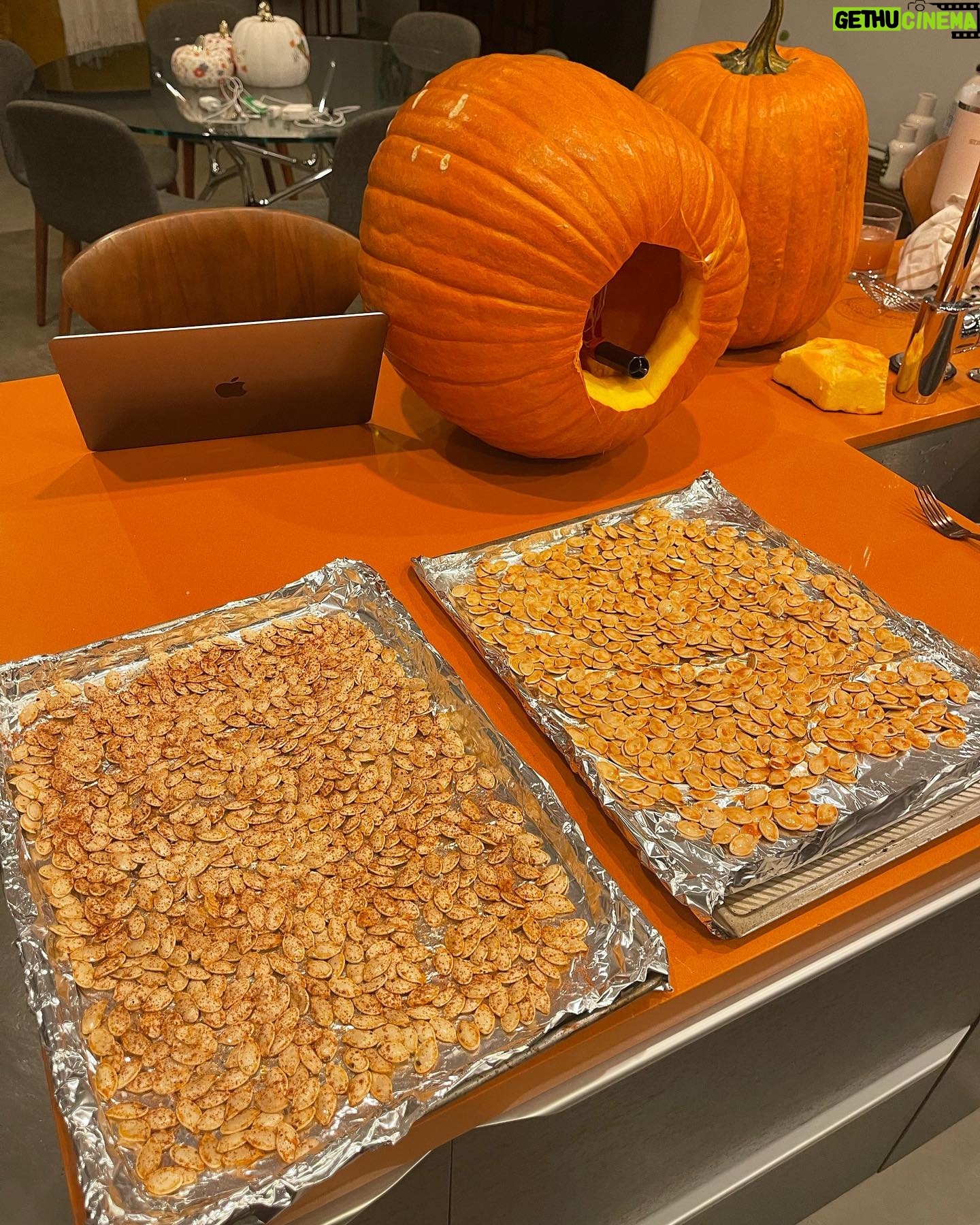 Jesse McCartney - 11.1K Likes - Never too old for a pumpkin patch šš š»