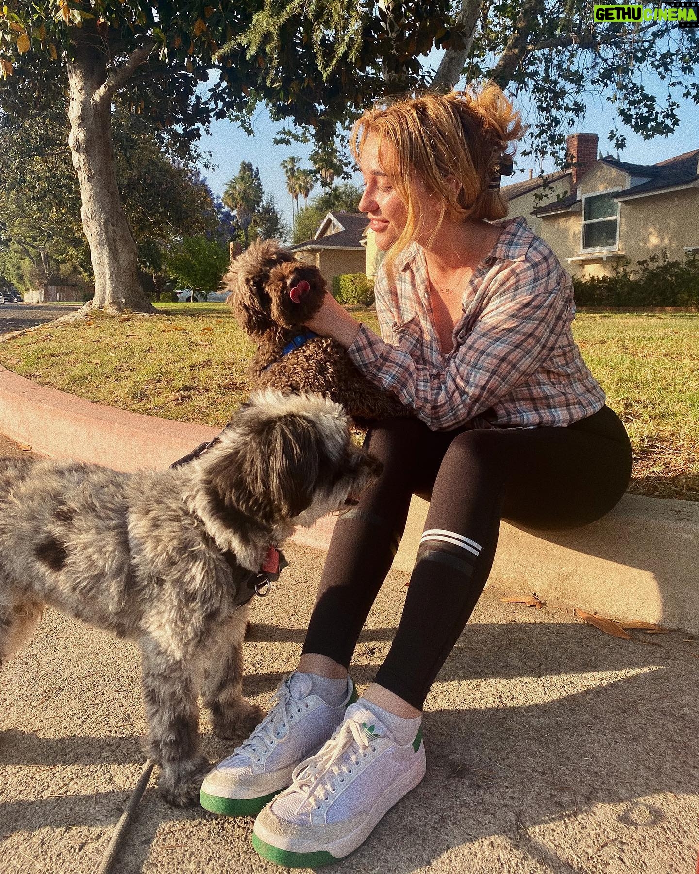 Jessi Case - 3 Likes - Puppy whisperer