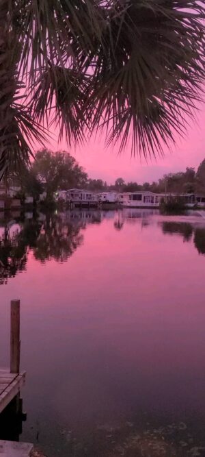 Jessica Clark Instagram - Early morning beauty.

#sunrise #sunriseoftheday #dawn