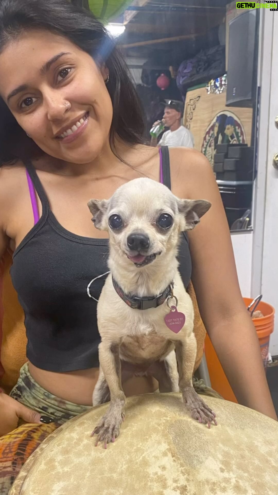 Jessica Franco - 337 Likes - 💔 The hardest decision I’ve made in my 36 years of living. I gave my baby her last kiss last night I had to say goodbye to the only thing I’ve ever loved more than anything/anyone in the world. My baby Lelu.
Everyone knew Lelu 🩷 She was my everything. 14 years is a long time to spend with a pet.
She loved traveling, camping, getting her picture taken, going on car rides, going to parties, practice, loved people & her favorite place the beach.
Things have been so hard on me the past 8 months. I’ve been telling my little Tulip it’s just you and I now Lee.
I’ve invested all of my time and love into her. She said it’s time you move on, break the routine and give your love to yourself and too others mama.
I gave her the best life a dog can ever ask for.
She was one of the strongest dogs I know!!!
I don’t know what I’ll do without her.
But I know things will be the best they’ve ever been for me. I miss her more than anything 😭
Be free Lee go chase those rabbits and squirrels in doggy heaven, I’ll see you again 🕯️🥹