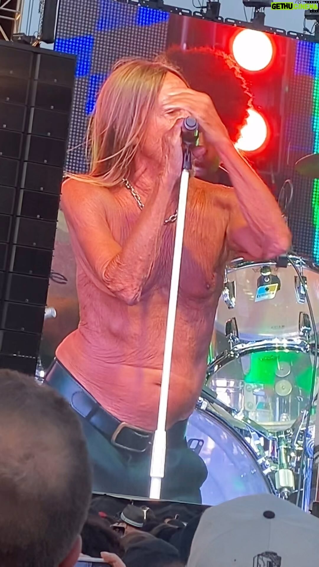 Jessica Franco - 117 Likes - The one and only @iggypopofficial ✅ 🙏🏽
Omgods the @novaluesfestival was fuckin rage🤘🏽💀
Now this was a rare festival. Incredible punk bands all in one day. You aren’t getting this lineup ever again 🔥 And of course @iggypopofficial did spectacular as always!! 😍
Here’s the bands I got to see @theaquabats @theadictsofficial @tsol_official @dillingerescapeplan @jello_biafra_gsm @agentorangemike @badreligionband @suicidaltendencies @sublime @iggypopofficial @officialmisfits