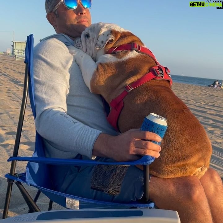 Jessica Knoll - 5.7K Likes - Weāve lost Beatrice, our favorite thing in the world. I got to hold her and tell her I loved her as she passed, to thank her for loving me and napping with me and making my heart bigger and showing me how maternal I can be. We loved everything about herāher body, her hunger, her attitude, how she had to be involved with everything with us all the time, on us, touching us, butting her head into bathroom doors to guard us while we peed and showered and then her body was so bodacious we could never get the shower door back open. One time she jumped up on the table and ate a whole cake. When we had parties she would stalk the house like a predator, panting and wild eyed, bc food was around and she had to have it. She loved her daycare but ignored other dogs so I always wondered why she dragged me inside when we got there and came home so exhausted. Recently, I found out they let her hang out and snooze behind the front desk most of the day bc the dog area was ātoo much for her.ā She was so ridiculous and Iām shattered she wonāt ever bask in the sun or get her lip stuck on her teeth again. Snuggle up in the nook of my knees. Refuse to walk and eat first and second breakfasts and dinners. She lived like she would live forever and she was such a fighter and Iāll always take that with me. Thank you for loving her too, it brought me pure joy to share her with you on here. If you have a favorite memory of her I want to hear it. Talking about her and looking at pictures of her is all I want to do right now. š š