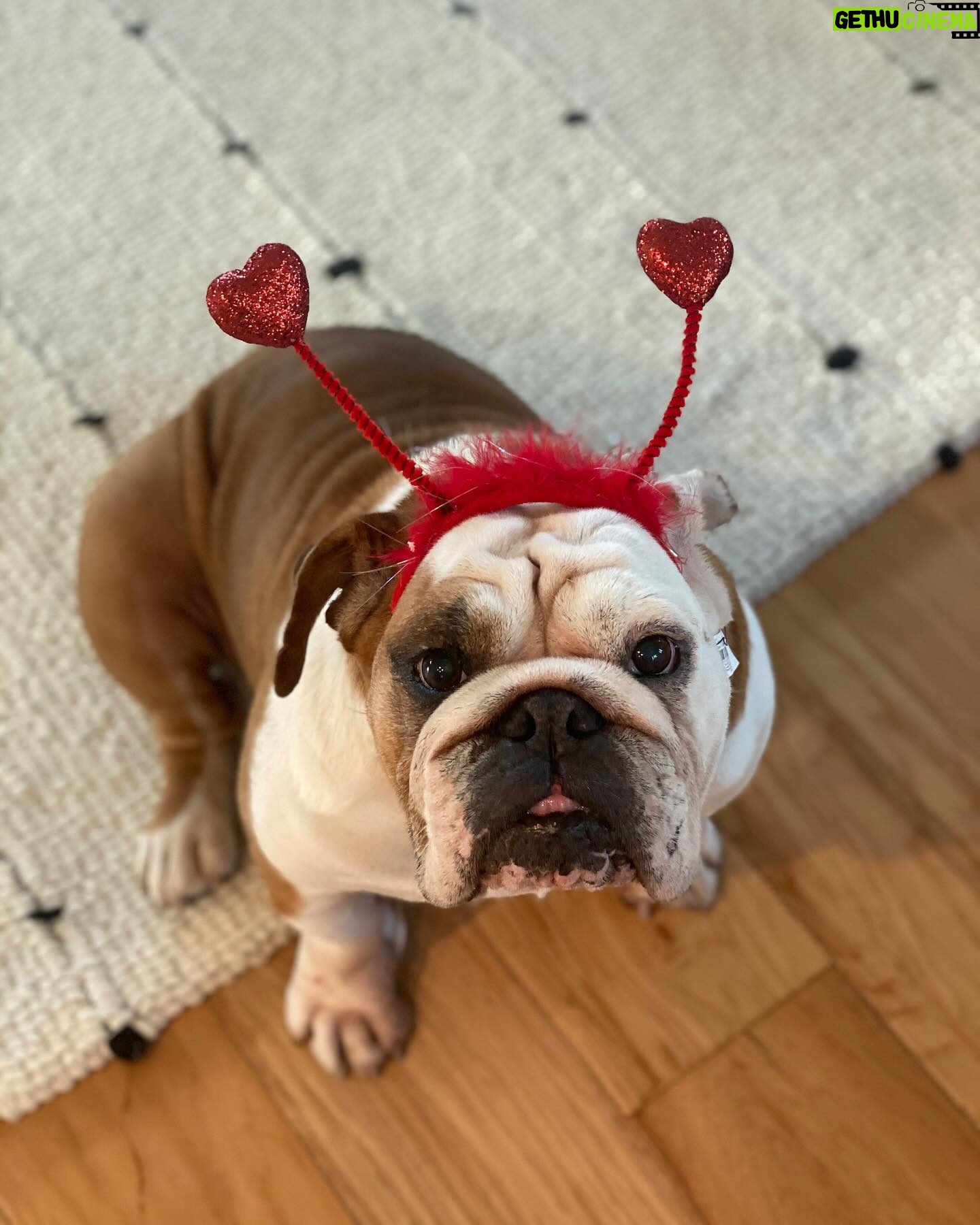 Jessica Knoll - 1.8K Likes - Happy Galentine’s Day from me and my best gals. 💌