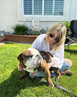 Jessica Knoll Instagram - Some happy news. Meet Franklin, the new man in my life. I sat down in the grass and he crawled into my lap and lightening didn’t strike us dead, so Beatrice must approve. We have some travel coming up so we won’t take him home until we are back on the west coast. His foster mommy said he’s the sweetest boy and she’s happy to keep him until then. Once again, @socalbulldogrescue was a dream to work with. They have so many precious doggos up for adoption right now, and they are not one of those rescues that just wants to foist any dog on you. They really take their time to get to know you and make sure it’s true love. The house has been so lonely without Beatrice plodding around it, and we are so excited to welcome Frank the Tank home.