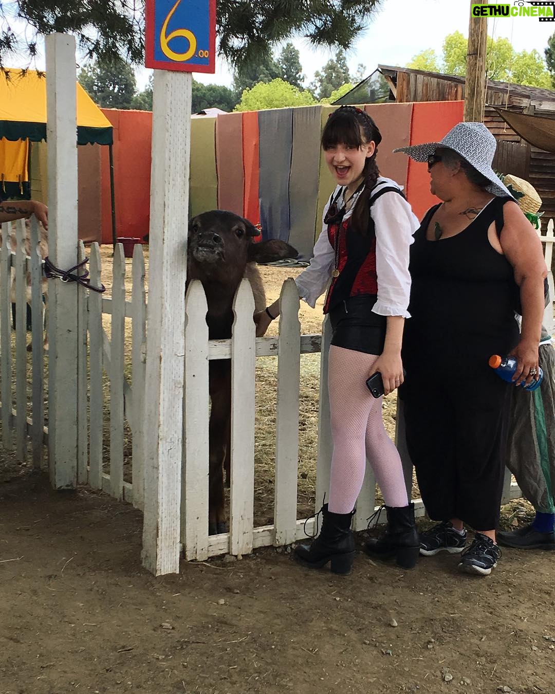 Jessie Franks - 768 Likes - Met Charlie the Water Buffalo at the Ren Faire. So. Cute.