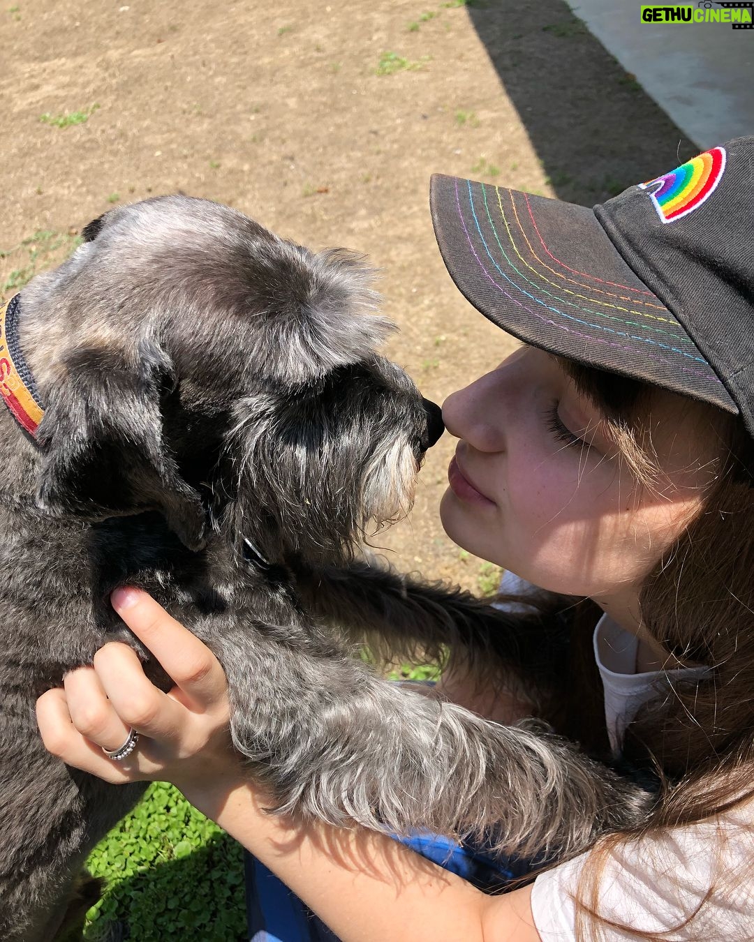 Jessie Franks - 456 Likes - Puppy love š
Do you have any pets? ā¬ļø