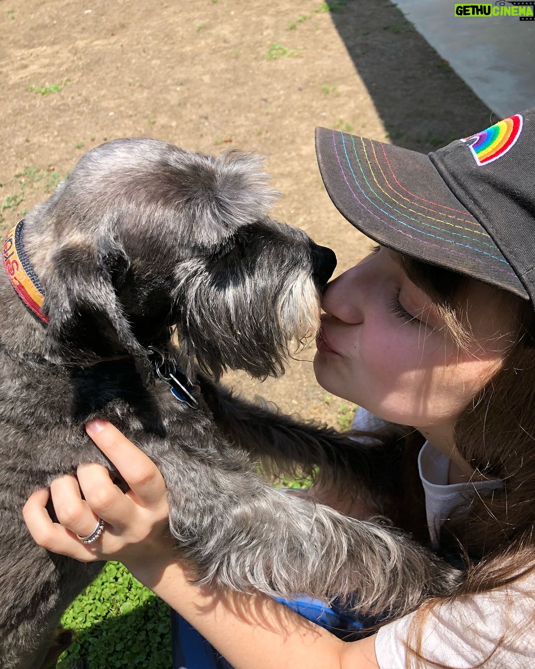 Jessie Franks - 456 Likes - Puppy love š
Do you have any pets? ā¬ļø