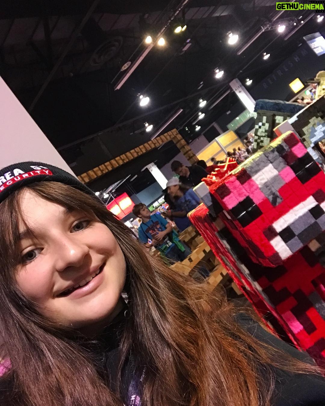 Jessie Franks - 361 Likes - I went to MineCon! Iām a huge nerd, it was awesome.