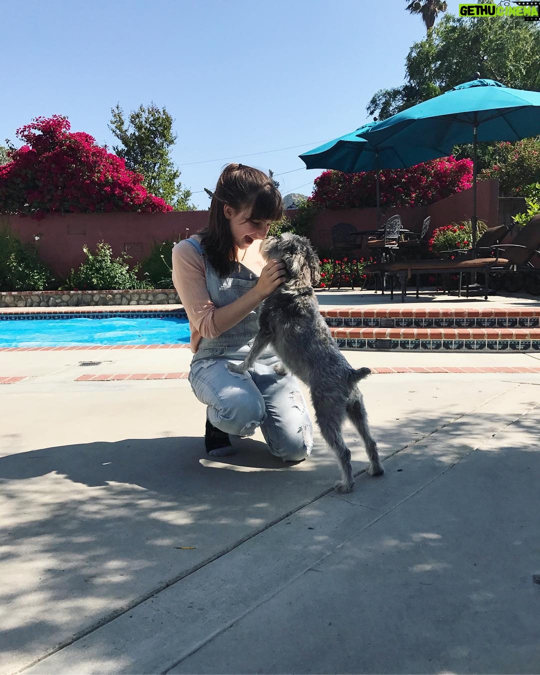 Jessie Franks - 418 Likes - Makin' friends! š¾