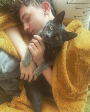 Jett Klyne Instagram - Mornings with the king 👑 
…
#russianblue @leroyklyne_official #cats #actor