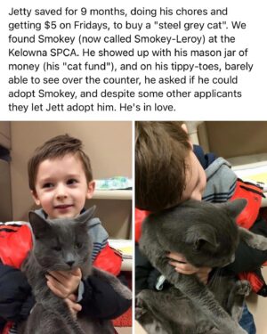 Jett Klyne Instagram - The story of Leroy & Jetty 🐈‍⬛ Happy friendiversary to our wonderful companion @leroyklyne_official 💚 8 years ago today 
.
..
… 
#russianblue #catsofinstagram #actor @bcspca #rescuecat