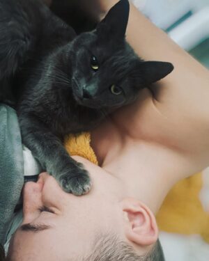 Jett Klyne Instagram - No you may not get up. 
#russianblue @leroyklyne_official #theboss #theking